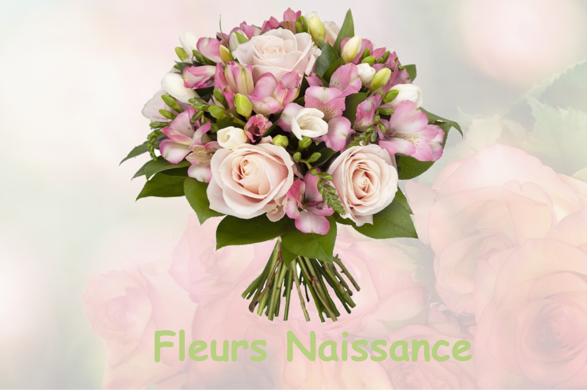 fleurs naissance LE-COUDRAY-MONTCEAUX