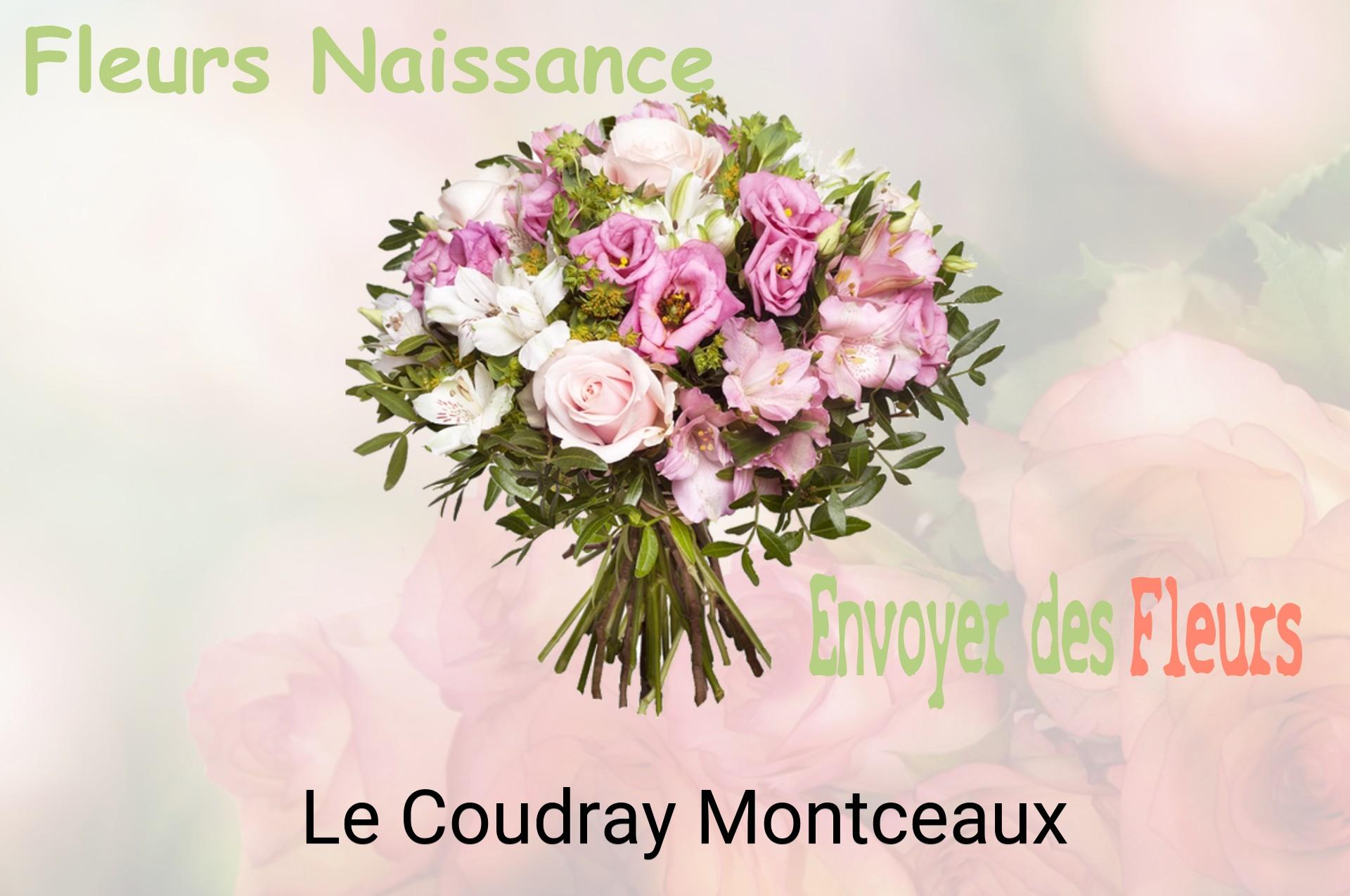 Bouquet de fleurs de naissance livré à Le Coudray-Montceaux